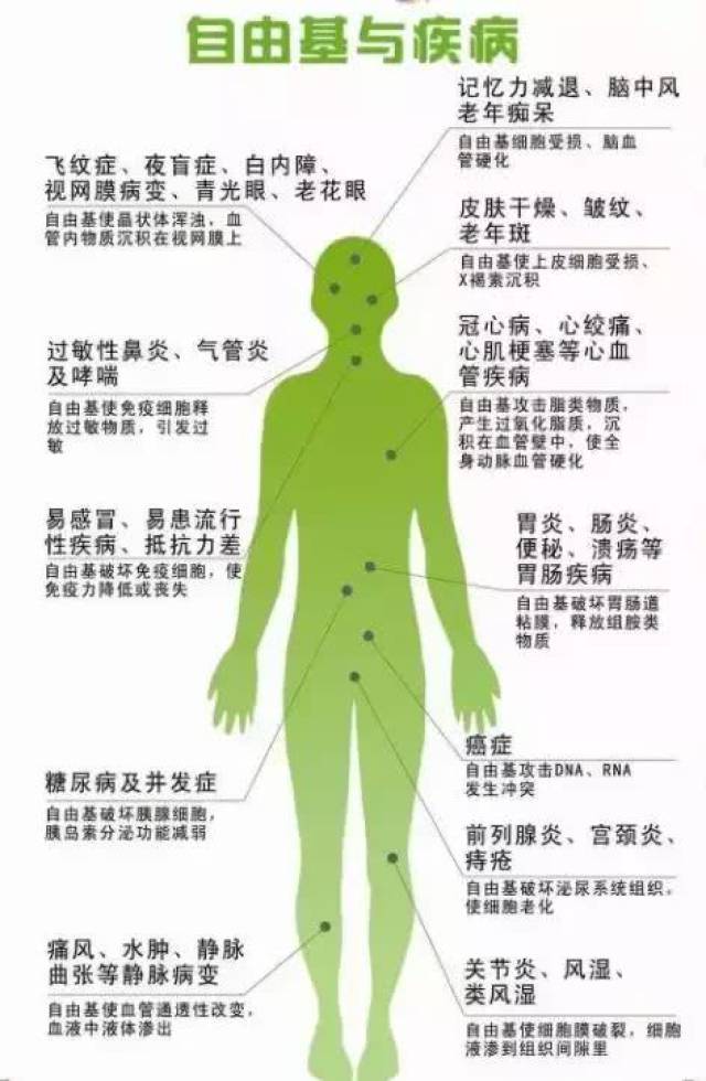 自由基对皮肤的危害图片