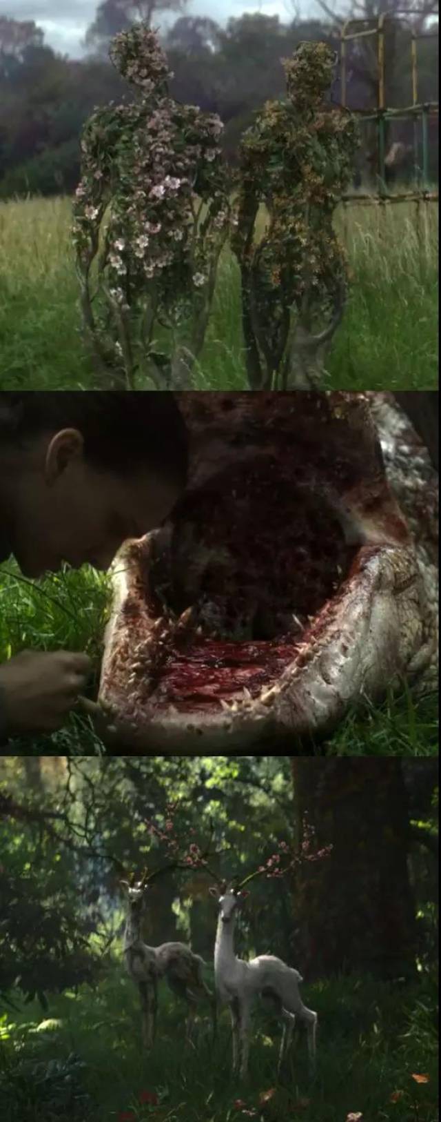 生物间的基因相互影响,相互吸收,从而使得影片中出现生长成人形的植物