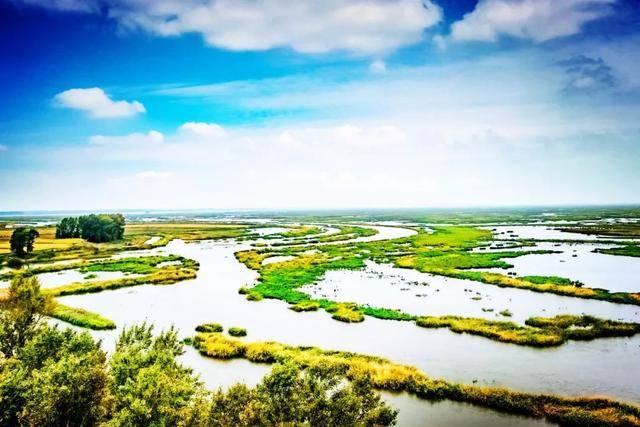 红旗岭农场的红塔 ▼