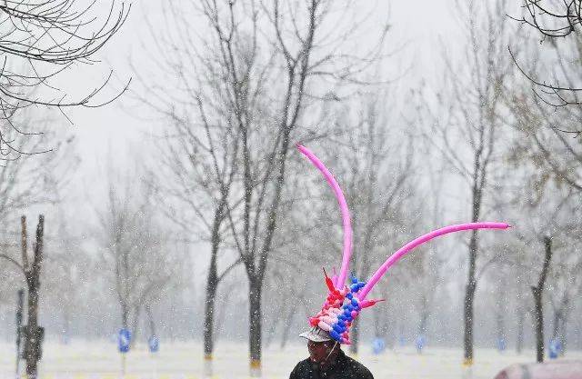 和这洁白的雪花最搭配.