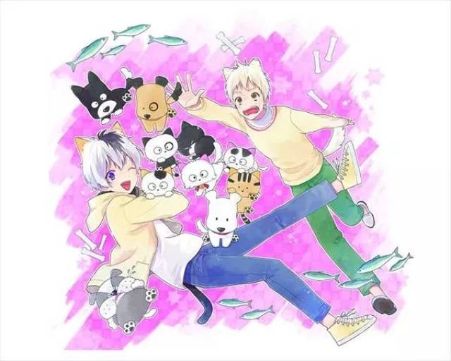 全金属狂潮举办先行上映会,猫狗宠物街推出拟人化漫画,京紫外传小说