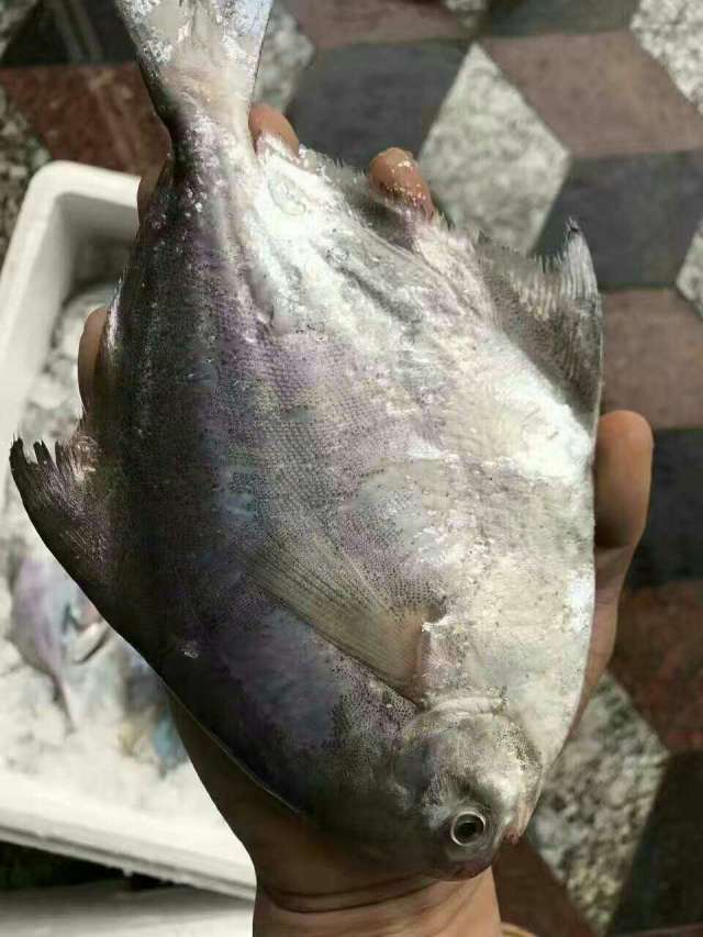 白昌,(第10页)_大山谷图库