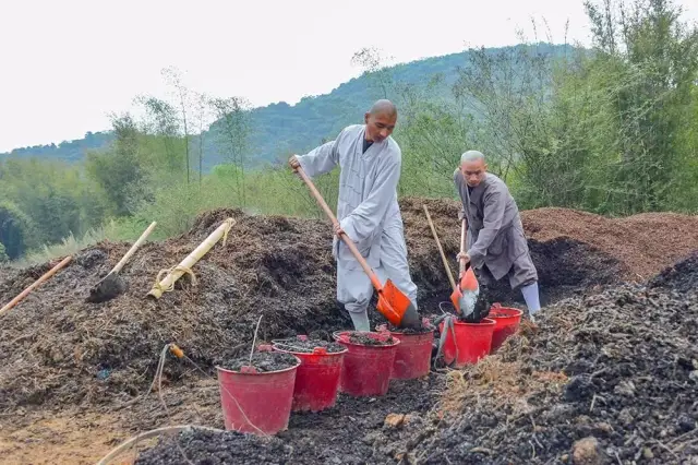 最接地气的寺庙,最聚人气的和尚——东华禅寺禅花生播种实录