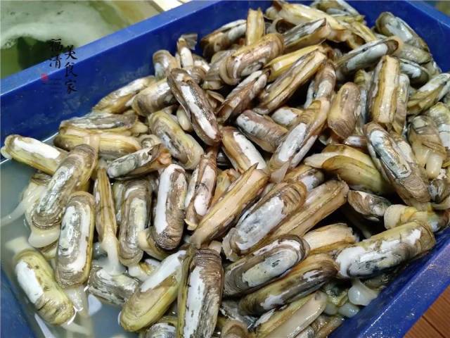 福清海口正经的海鲜楼都有什么海鲜?