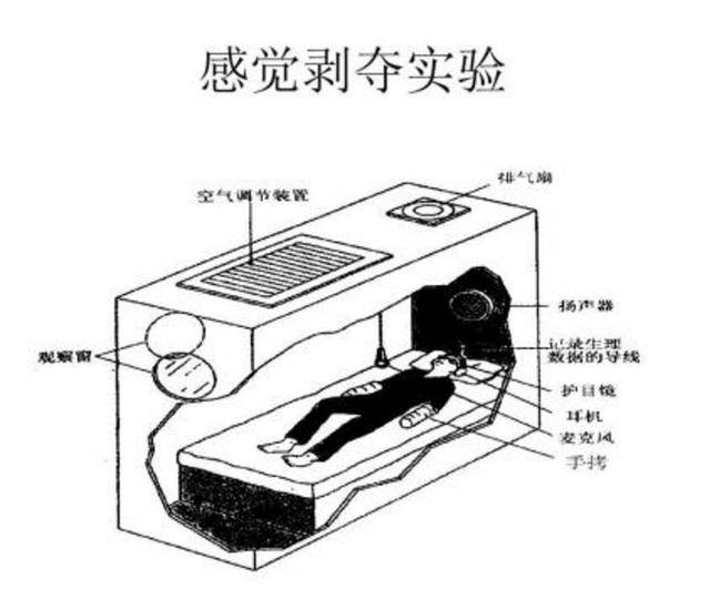 感觉被剥夺会怎样?《心理学的故事》第三集——失去感觉的贵族_手机搜