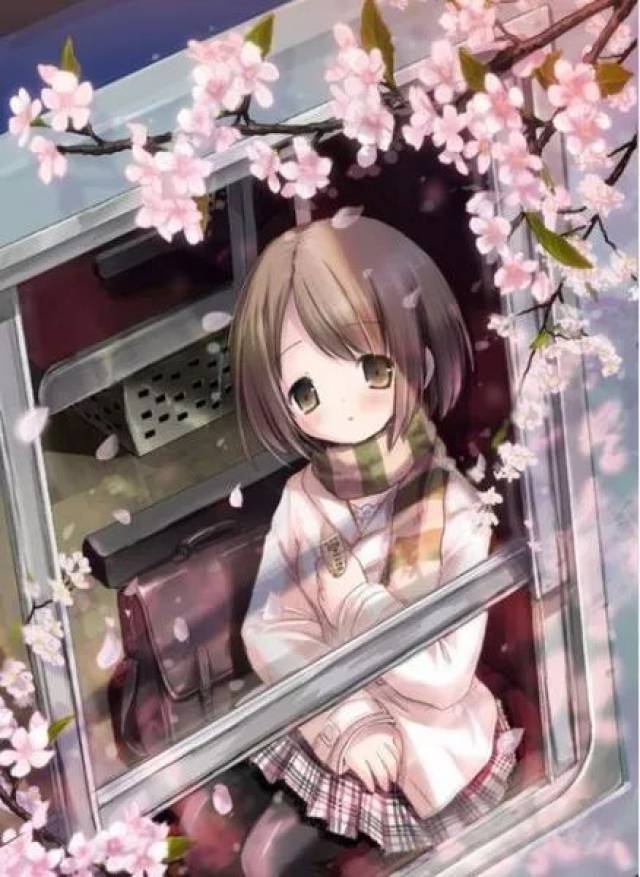 【二次元福利】樱花专场-不喜勿入-动漫频道-手机搜狐
