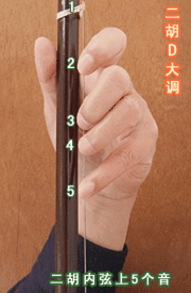 【弦韵二胡】学习二胡6大必练基本功!你都学会了吗?_手机搜狐网