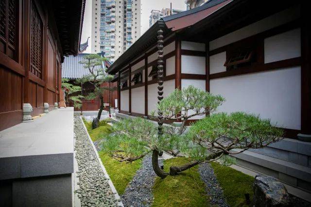 探访沪上最美庭院,看这家寺院如何将禅意演绎极致