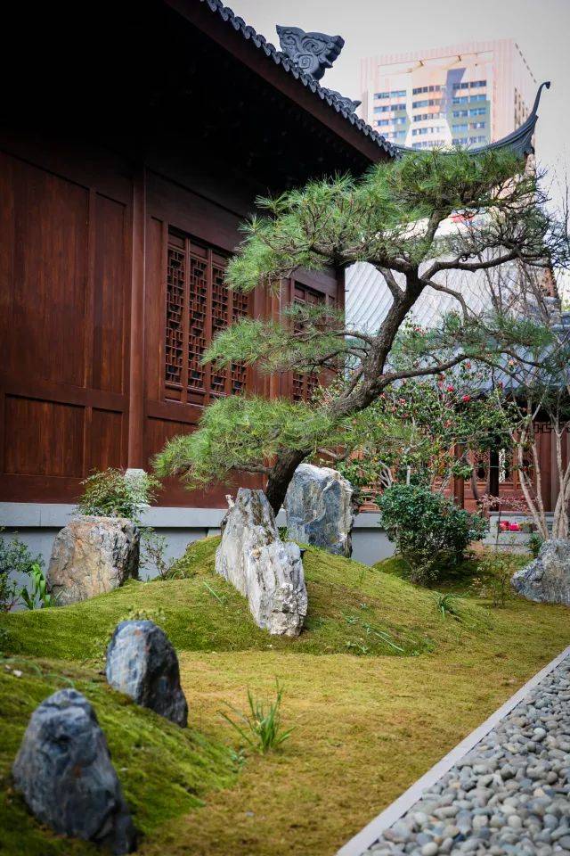 探访沪上最美庭院,看这家寺院如何将禅意演绎极致