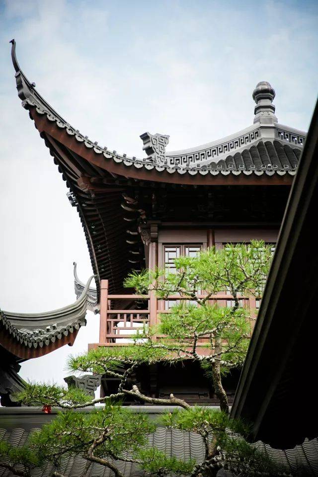 探访沪上最美庭院,看这家寺院如何将禅意演绎极致