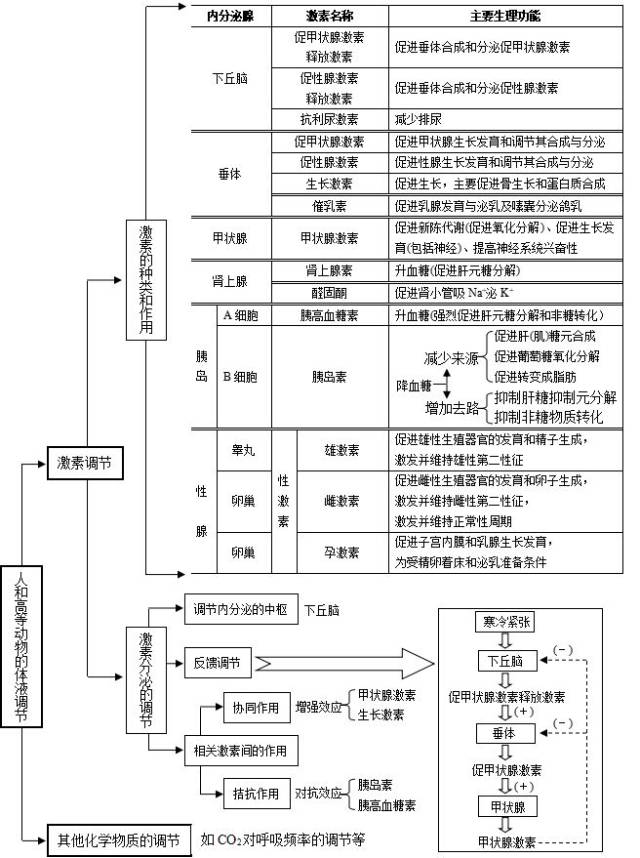 【生物】高三生物第二轮复习知识结构:生命活动的调节