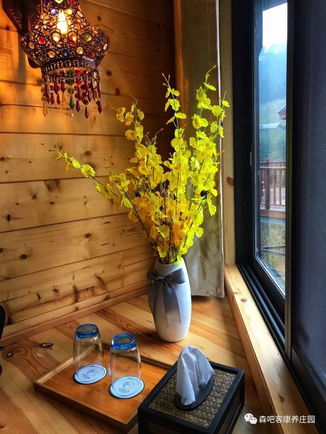 生活最美好的样子,是自由的