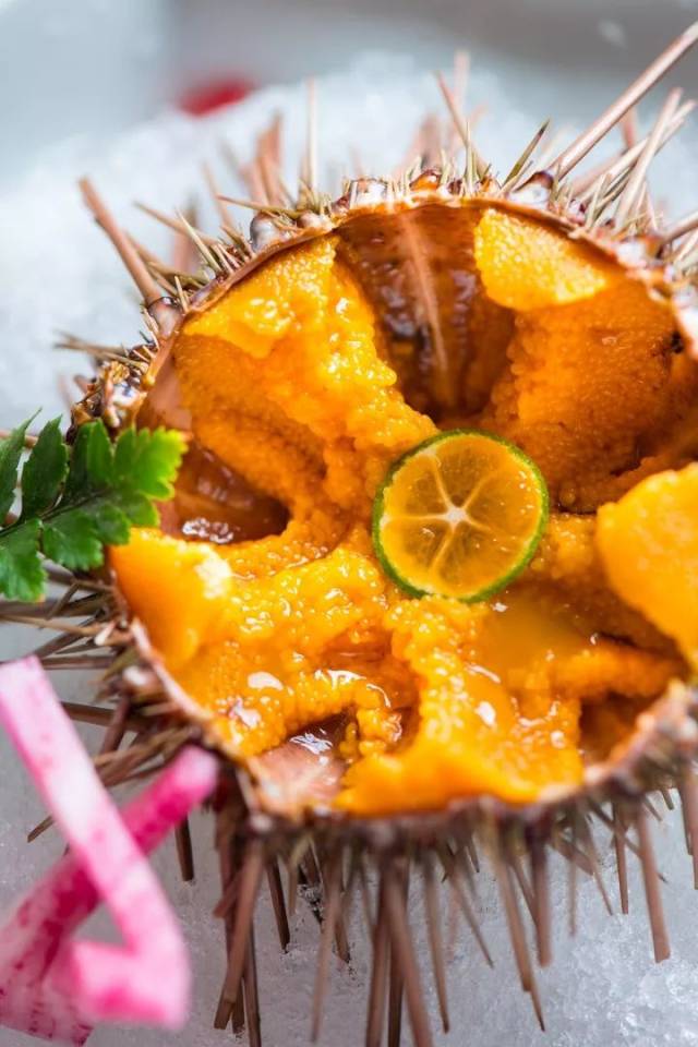 不仅味道鲜美,海胆还有强精壮阳,益心强骨的功效哦, 堪称男人的加油站