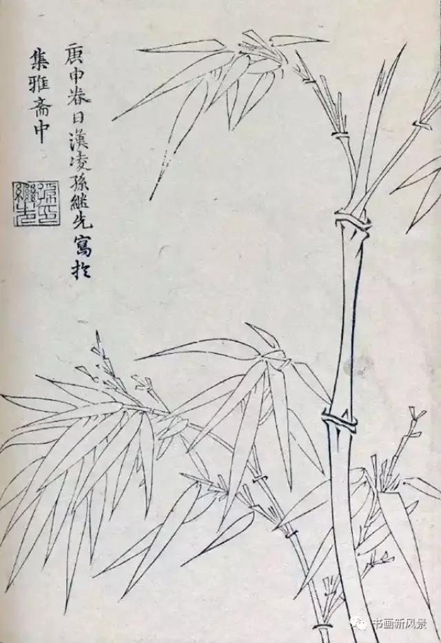 写竹,不可不看的竹谱!