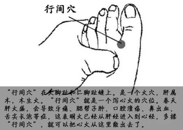 行间的准确位置图和,间行准确位置图和作用,命门的准确位置图_大山谷图库