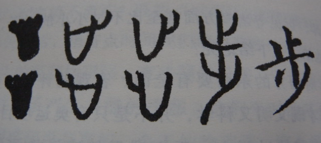 以形表意例子,步这个字在甲骨文中不断的出现,他画的是什么呢?