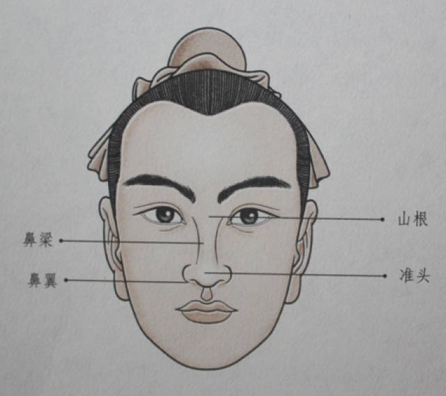 鼻看一生财,什么样的鼻子能聚财,什么样的鼻子