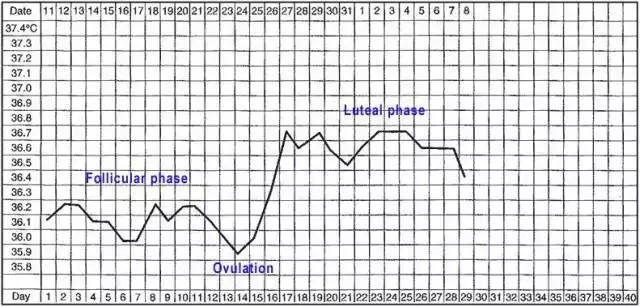 正常的体温变化是双向型的,在月经期开始表现为一个相对的低体温,而
