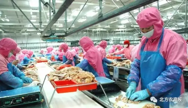 恩施农业科技：科技与自然和谐共生