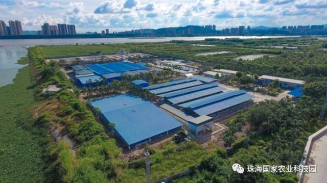 斗门浓缩饲料怎么选?一文讲清珠海浓缩饲料的配方、价格与代加工