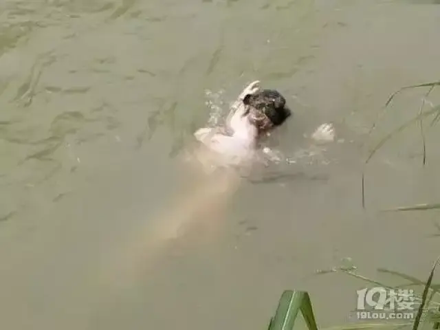 捞…… 在民警将箱子打捞上岸进行拆解后发现 箱内装的并非女尸 群篌