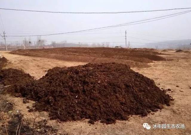 传统堆肥方式效果无法检测