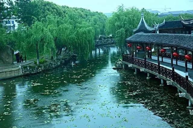 得那么朴实 古莲长堤 仿佛一幅水墨画 古莲长堤最引人注意的就是湖景