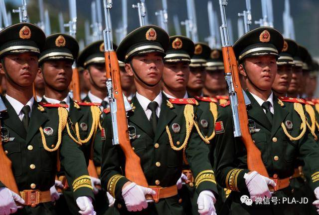 这一天,我终于分清楚了武警的警种!