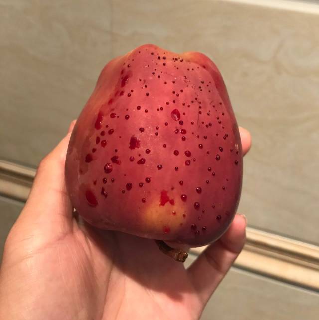 用热水泡苹果,结果冒出"血珠",咋回事?