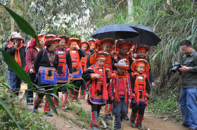神秘的背篓瑶婚礼,结婚三天后才允同房,彩礼送猪要一死一活,退婚送黑