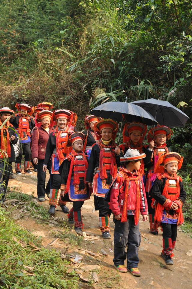 神秘的背篓瑶婚礼,结婚三天后才允同房,彩礼送猪要一死一活,退婚送黑