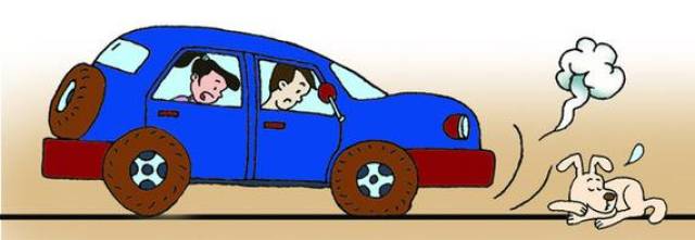 所以,给大师的建议是, 节制车速,按捺急刹车.别的,提