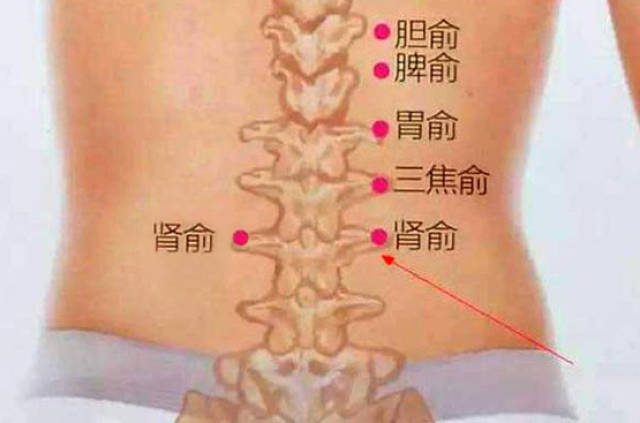 肾俞的准确位置定位图片