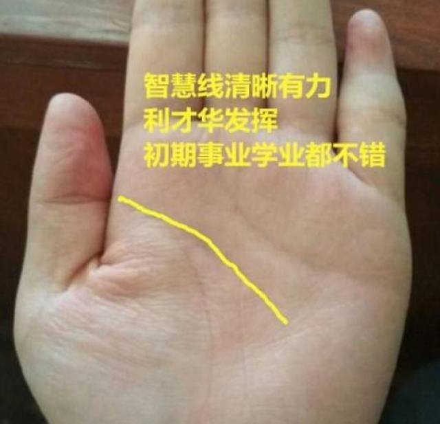 智慧线明晰有力,所以初期才华发挥不错,学业和事业都不错,事业线明朗