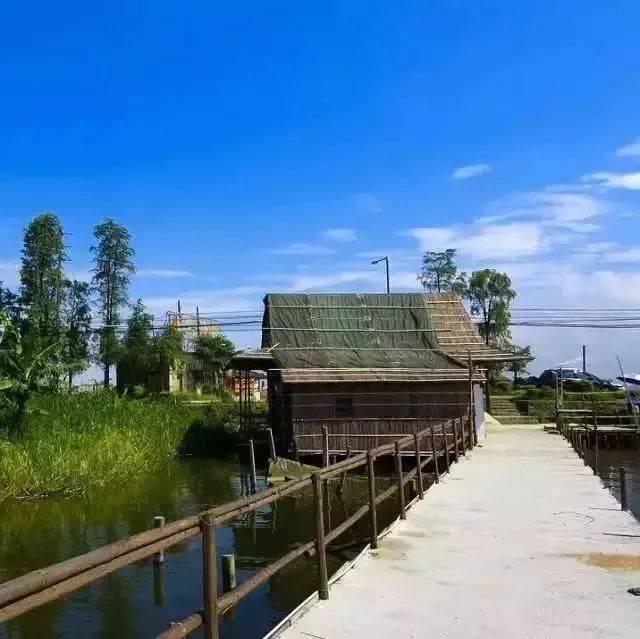 門票:免費 海鷗島是廣州一處未被完全開發的世外桃源,海鷗島溼地公園