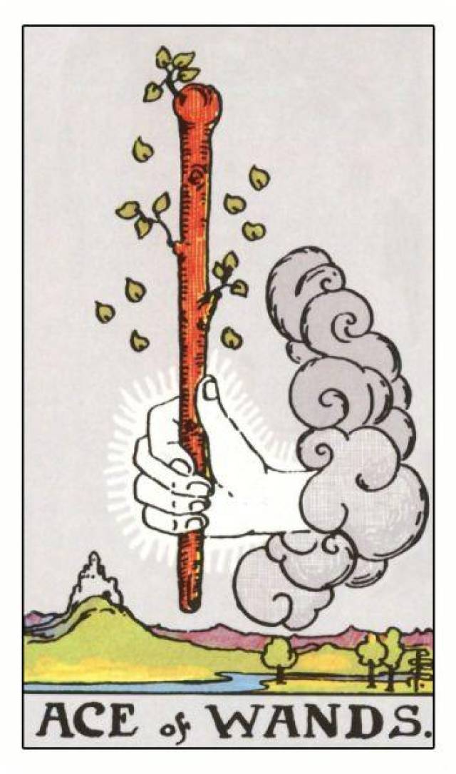 「塔罗占卜」十二星座3月25日运势播报