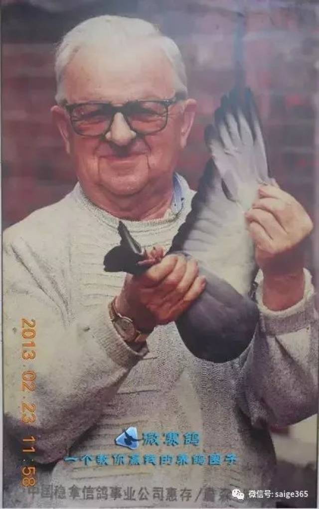 詹森兄弟:鸽坛泰斗李梅龄,吴淞,黄钟,张种,跃龙鸽,秀龙鸟,马家灰,小