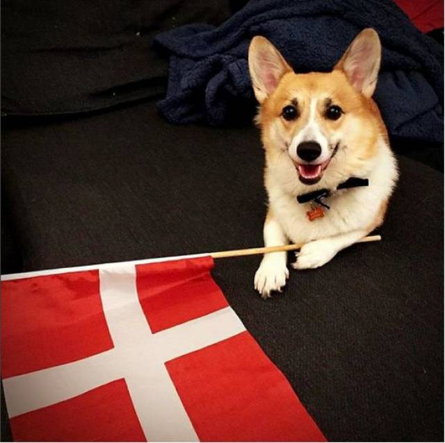 丹麦人发自内心相信:丹麦国旗是全世界最美的!