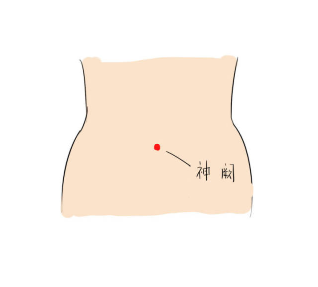 神阙怎么读,小儿,位置图(第13页)_大山谷图库