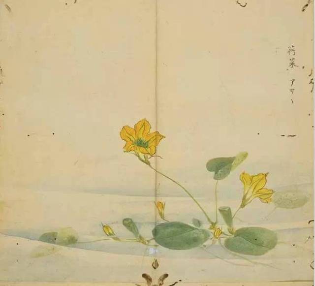 诗经名物图解_手机搜狐网