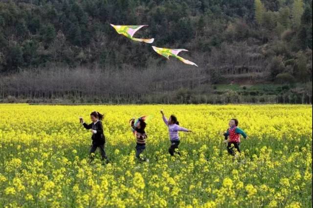 東方早安丨草長鶯飛二月天