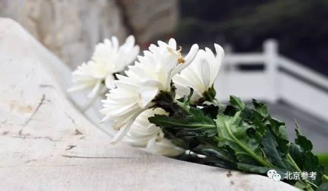 【今日北京】清明祭扫,你不知道的那些事