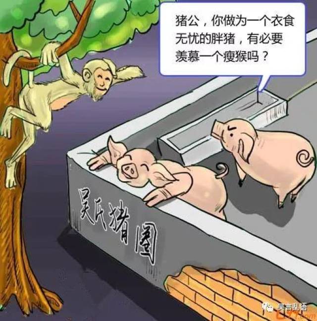 猪圈故事给猪自由