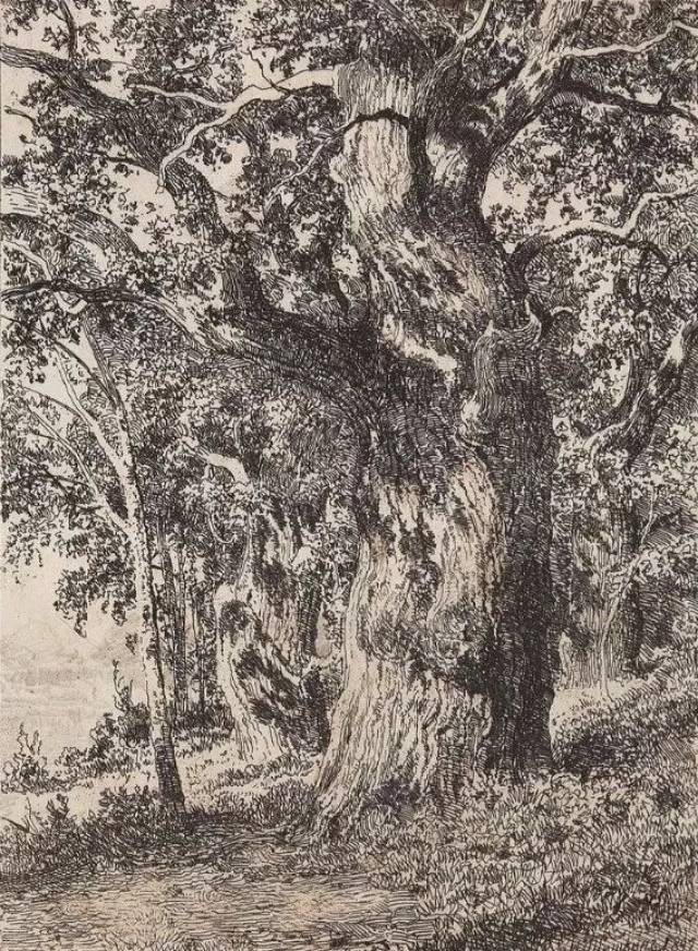 俄罗斯杰出绘画大师的超写实风景素描，难得一见！_搜狐网
