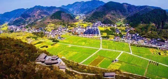 状元故里,光头强等 曾几何时 洞桥镇每年的 创意油菜花图案 都是富阳