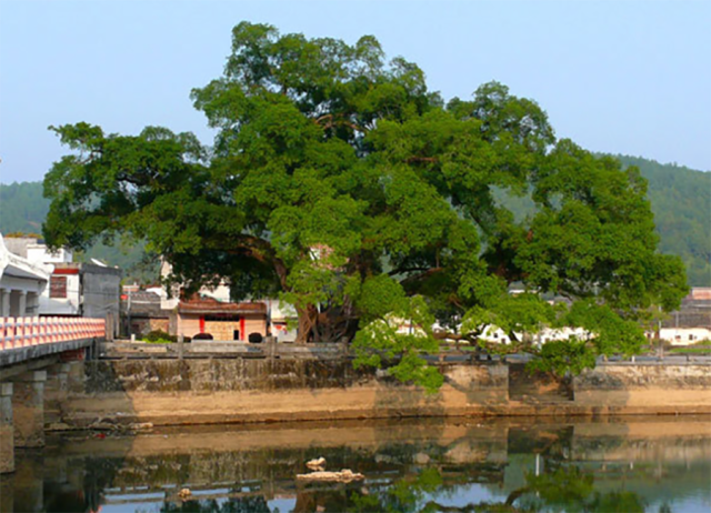 連平就像一幅山水畫卷,從古八景到新八 古橋遺韻