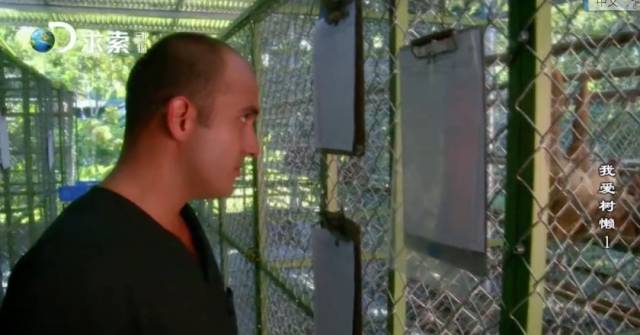 世界上第一座树懒庇护所!在这里上班就像进了萌宠乐园