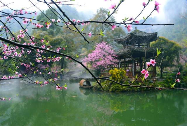 重庆酉阳桃花源:美如仙境,这里才是人间的世外桃源