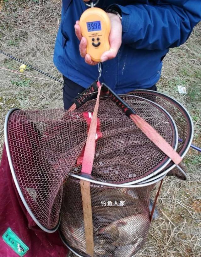 釣獲一條20斤的大魚,水庫深水區搞大物,爆釣一天的野魚