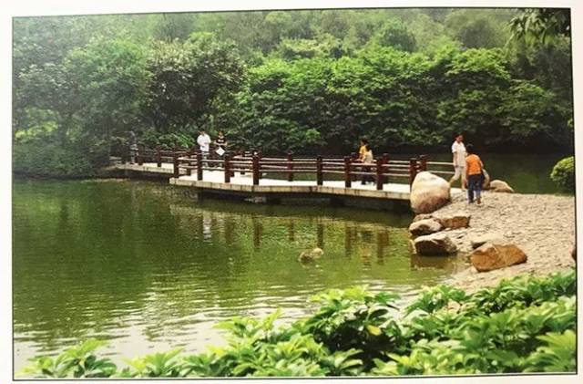 九号线旁的这个公园,你有多久没逛过了?听说准备恢复了哦